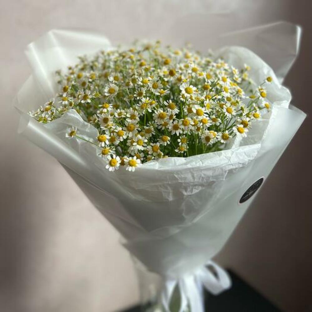 голландских ромашек (Матрикария) голландских ромашек (Матрикария)
