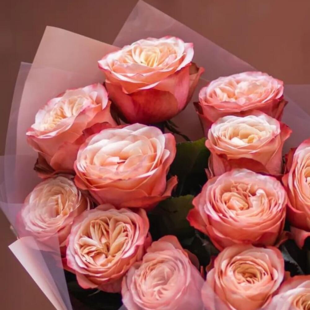 Покоряющий сердца Покоряющий сердца