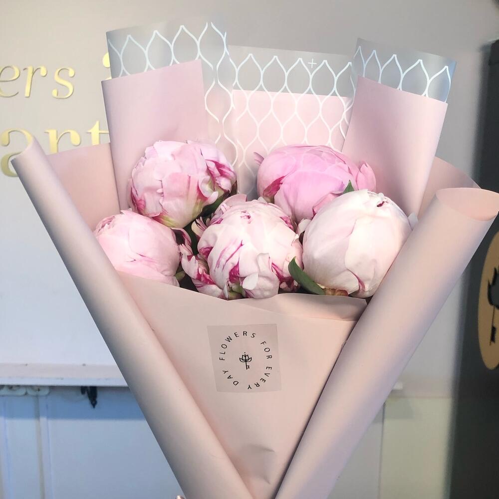 Розовые пионы Розовые пионы