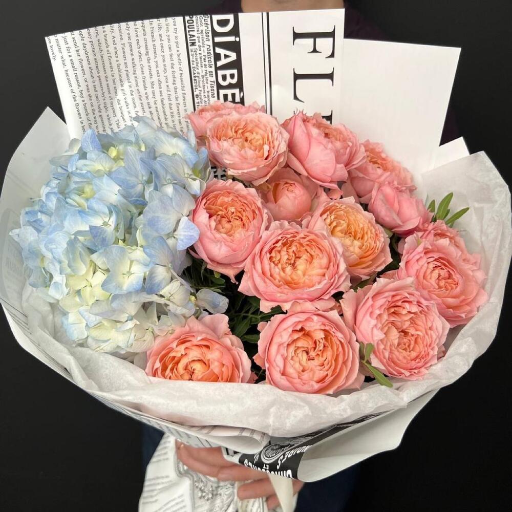 Привет Привет