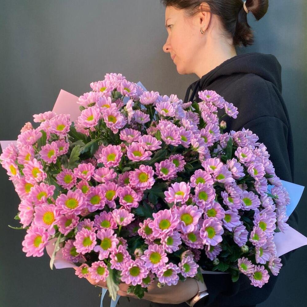 Поле розовых Ромашек Поле розовых Ромашек